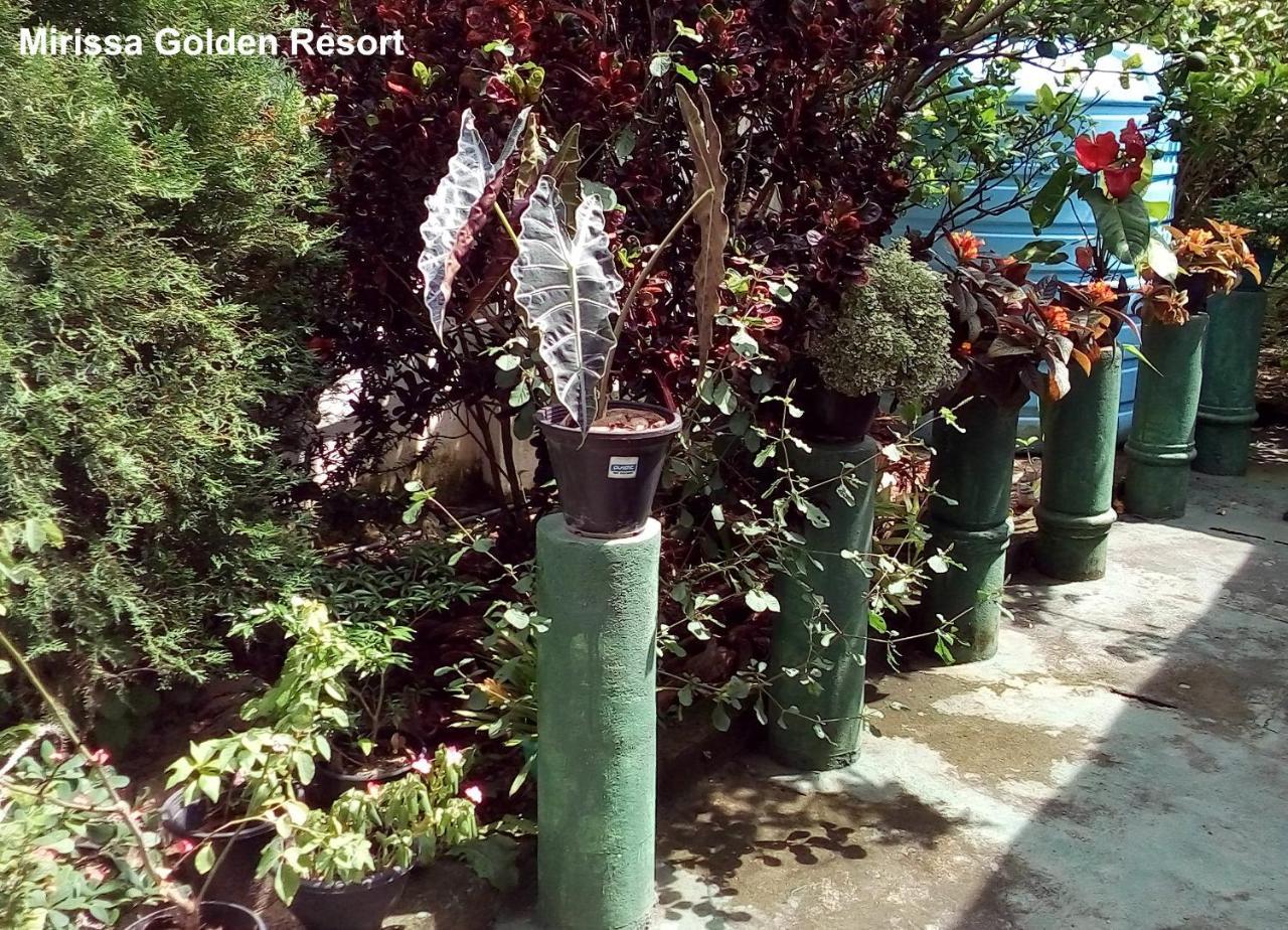 Mirissa Golden Resort מראה חיצוני תמונה